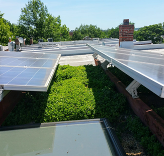 Green Roof and Solar